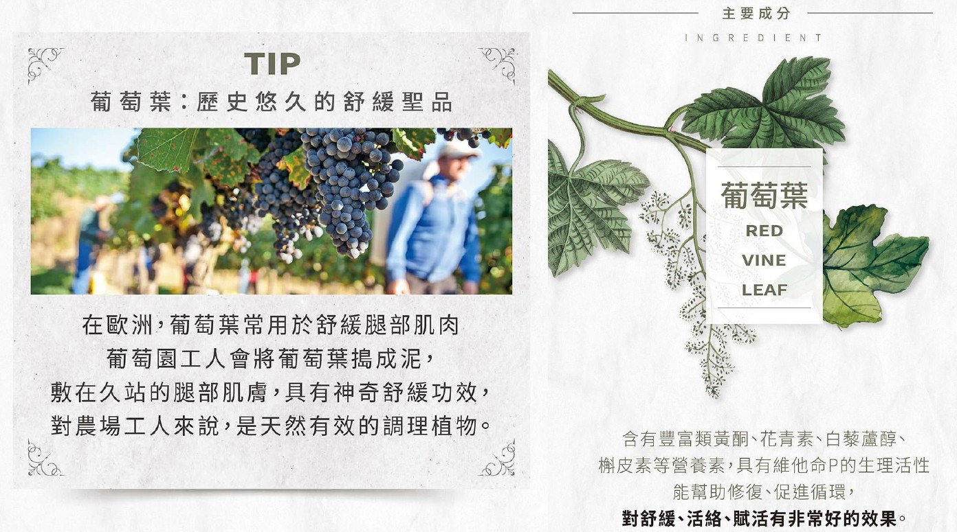 共用圖片/檔案 - 4